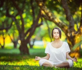 开云体育官方网站-灰熊与黄蜂之战的寂静风暴，保罗的自我救赎，在质疑声中怒放